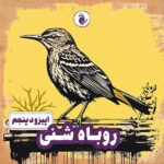 اپیزود 5 پادکست توکا - روباه شنی