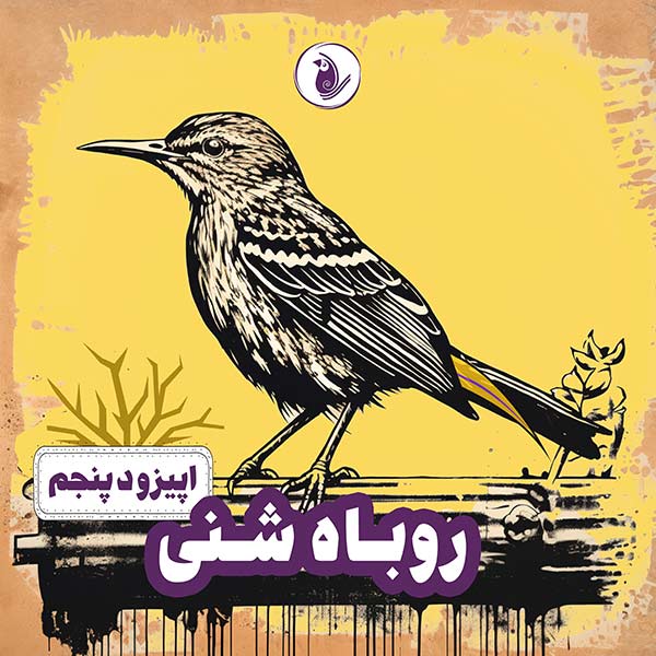 اپیزود 5 پادکست توکا - روباه شنی